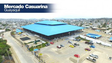 MERCADO CASUARINA